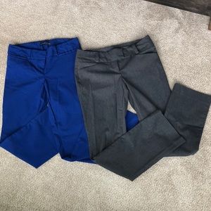 TWO pairs of Exact Stretch Pants The Limited